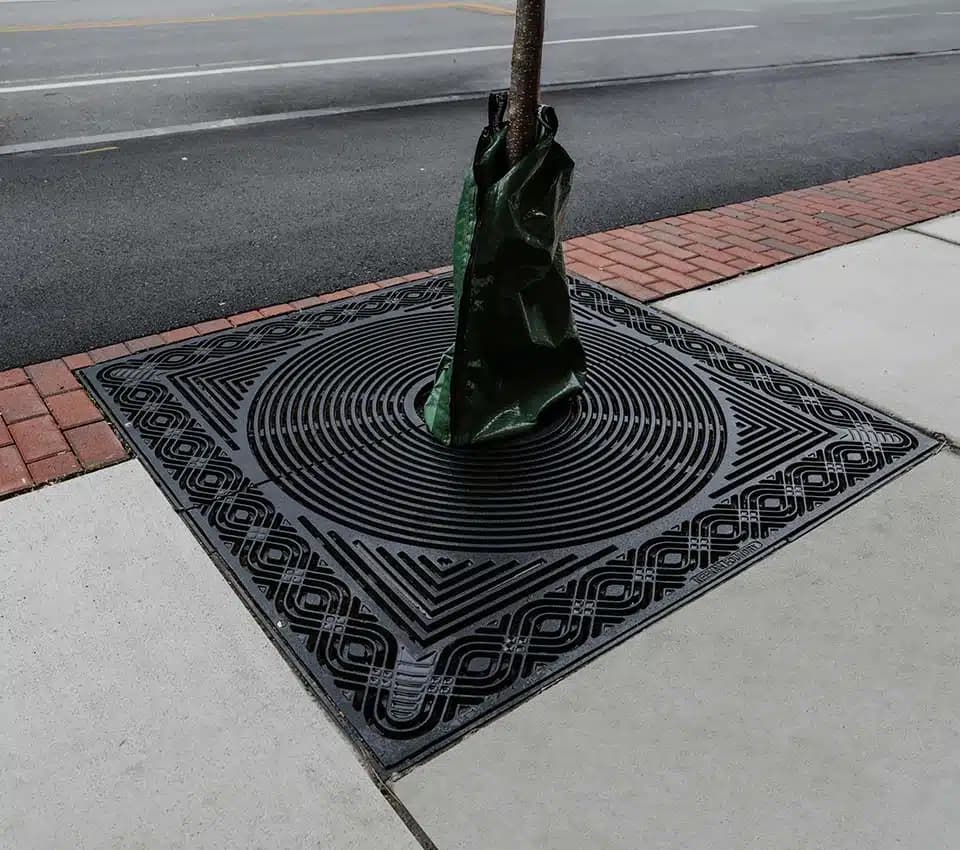 Tree Grates